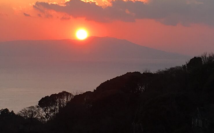 キャロットハウス