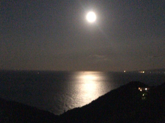 キャロットハウス　伊豆ジオパーク・トリプルパス対象施設