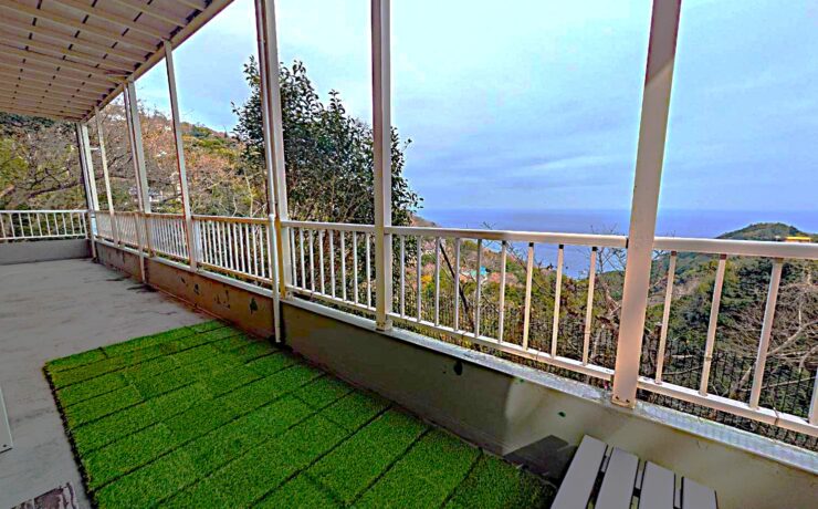 キャロットハウス　伊豆ジオパーク・トリプルパス対象施設