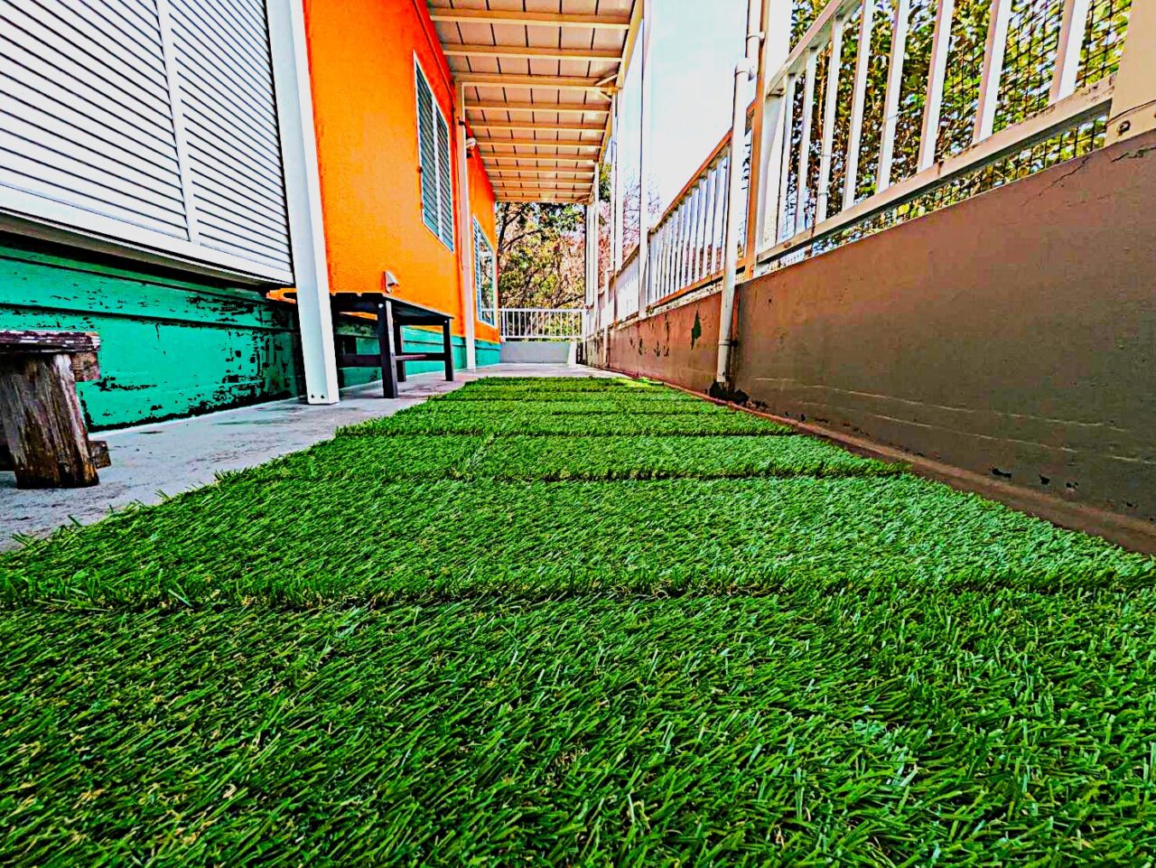 キャロットハウス　伊豆ジオパーク・トリプルパス対象施設