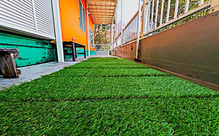 キャロットハウス　伊豆ジオパーク・トリプルパス対象施設