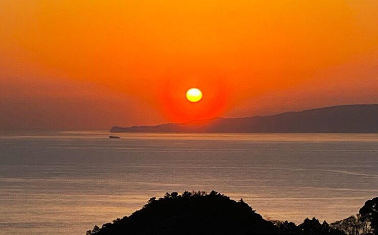 キャロットハウス