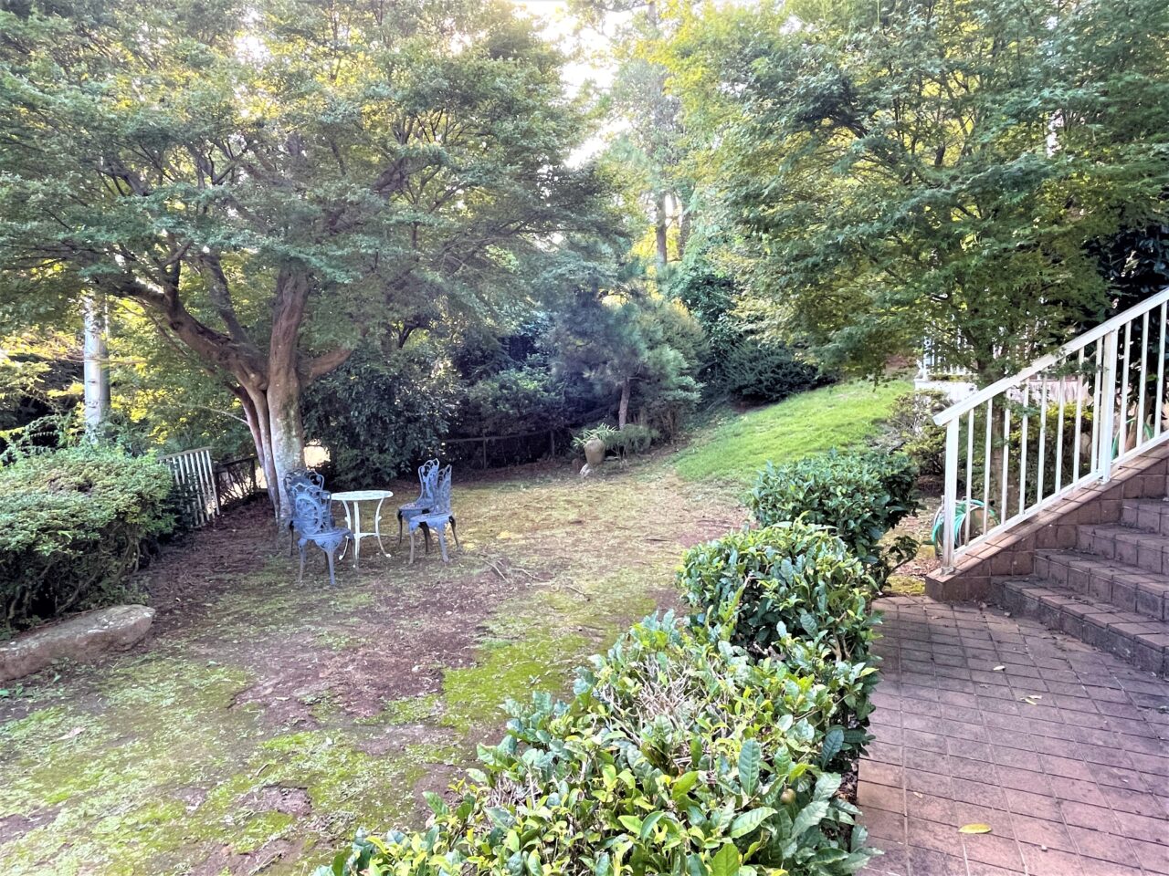 スコッチハウス