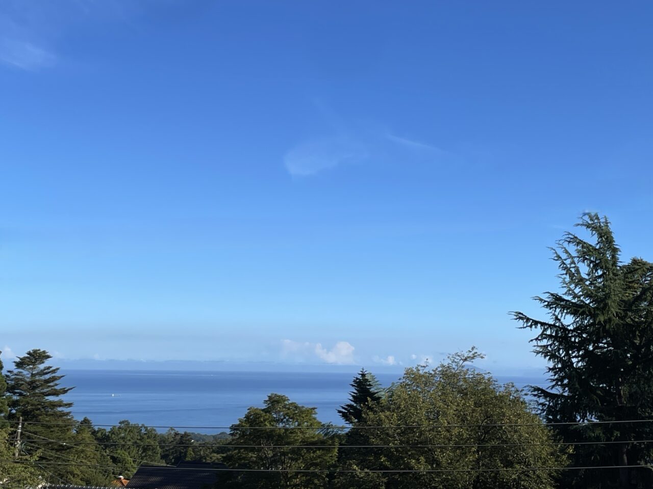 スコッチハウス