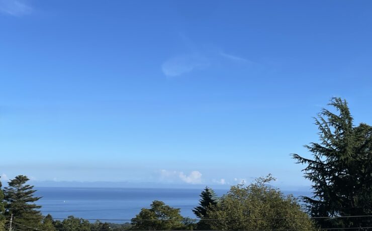 スコッチハウス