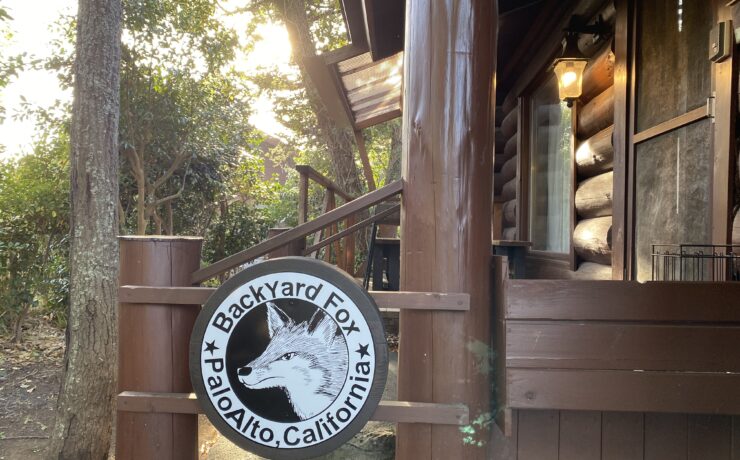 バックヤードフォックス