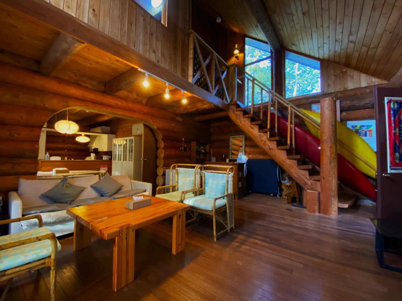 バックヤードフォックス