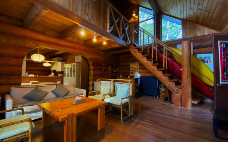 バックヤードフォックス