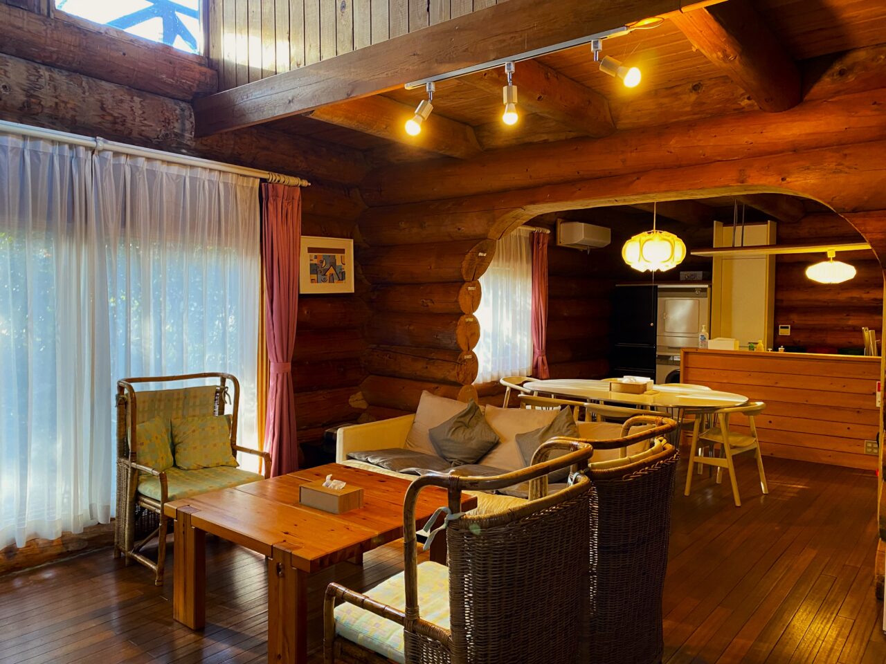 バックヤードフォックス