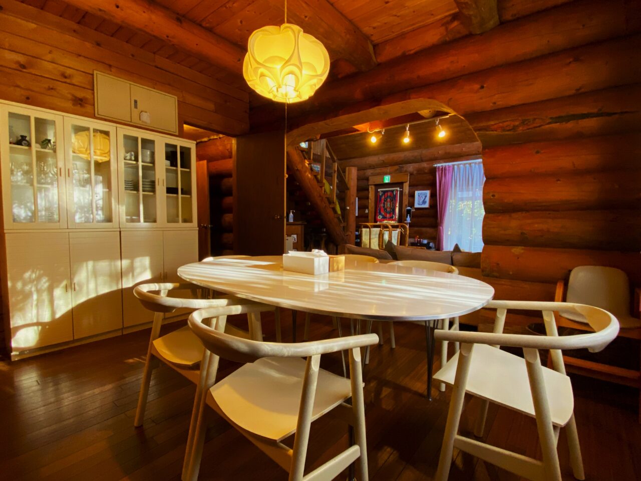 バックヤードフォックス