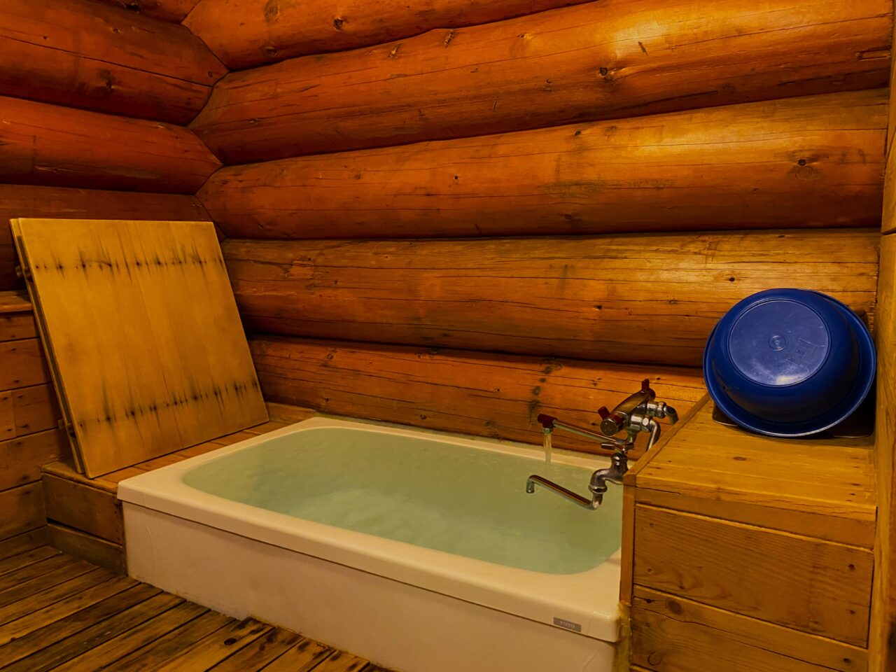 バックヤードフォックス