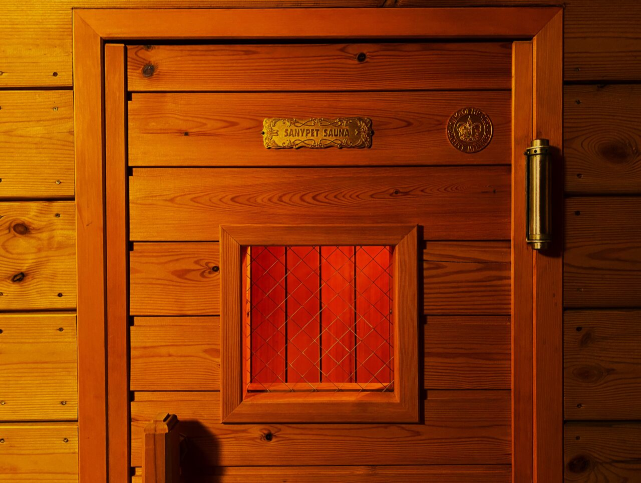 バックヤードフォックス