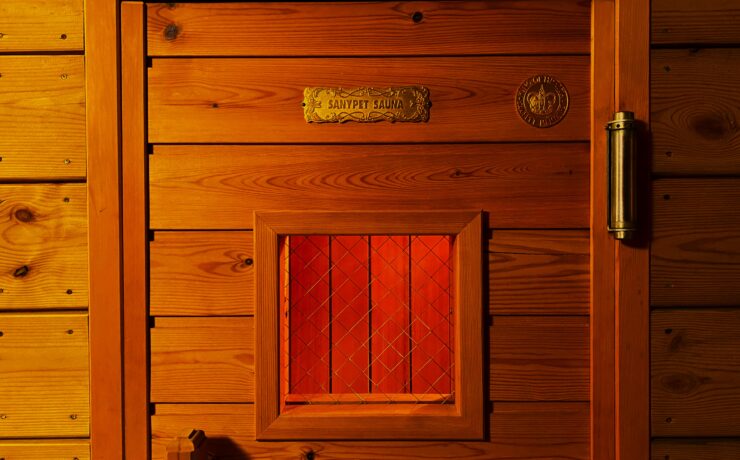 バックヤードフォックス