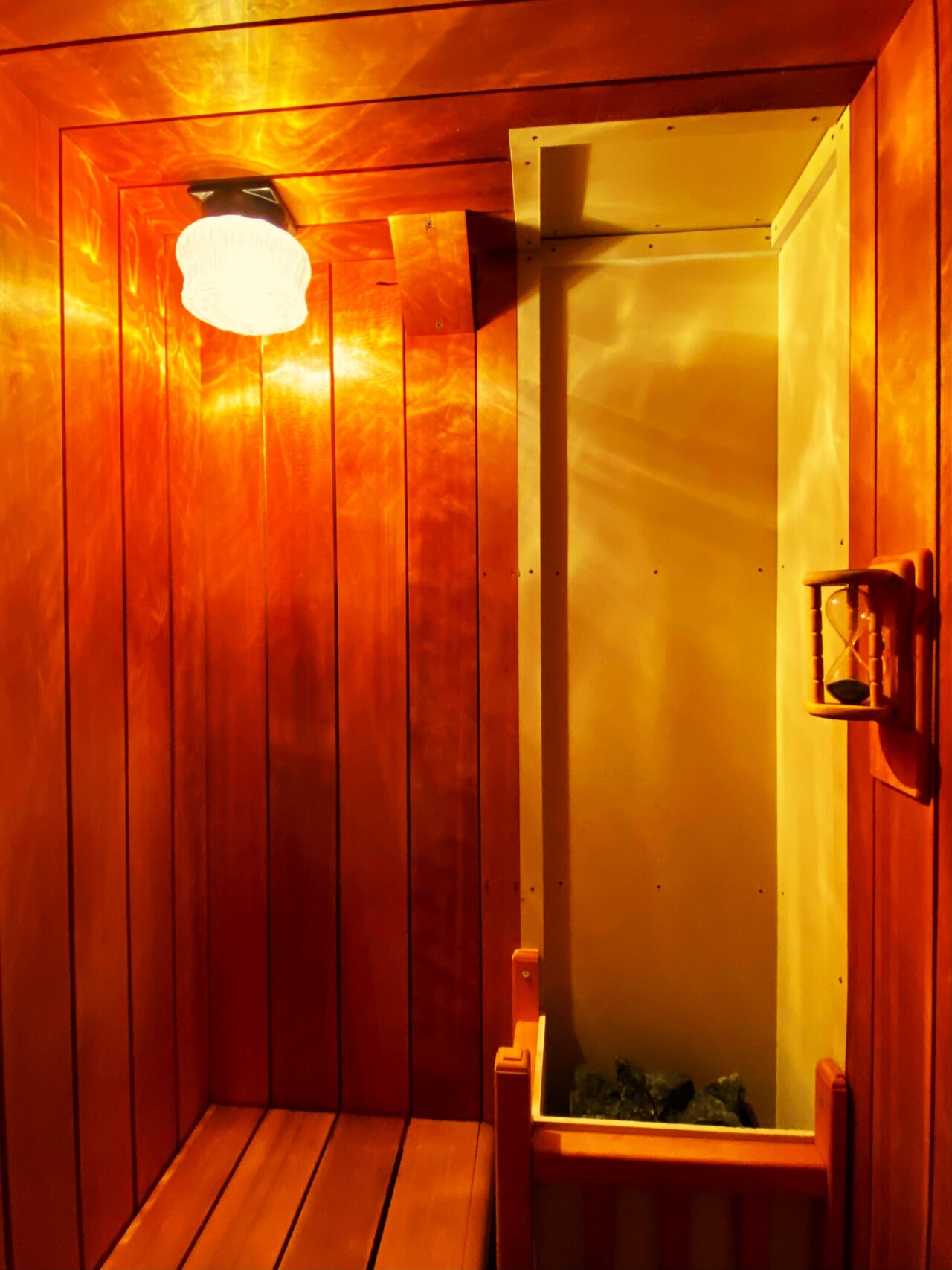 バックヤードフォックス