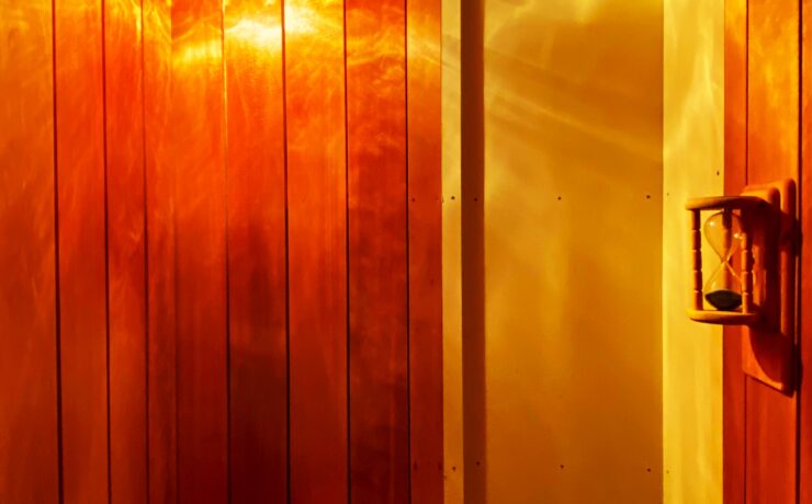 バックヤードフォックス