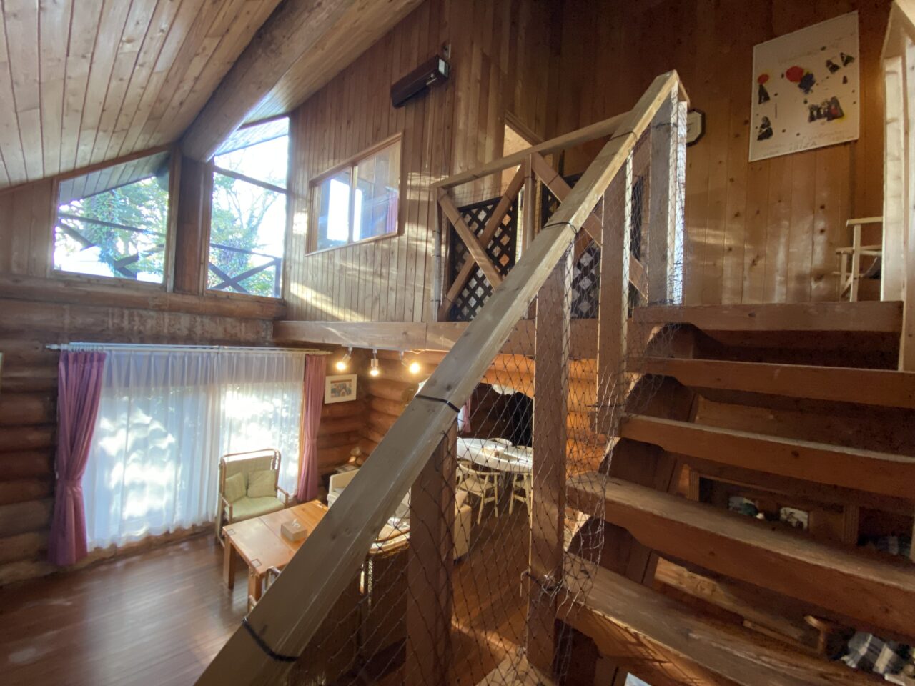 バックヤードフォックス