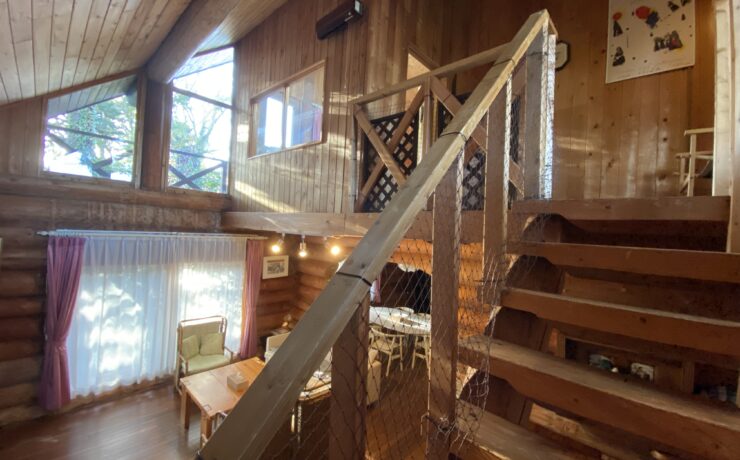 バックヤードフォックス