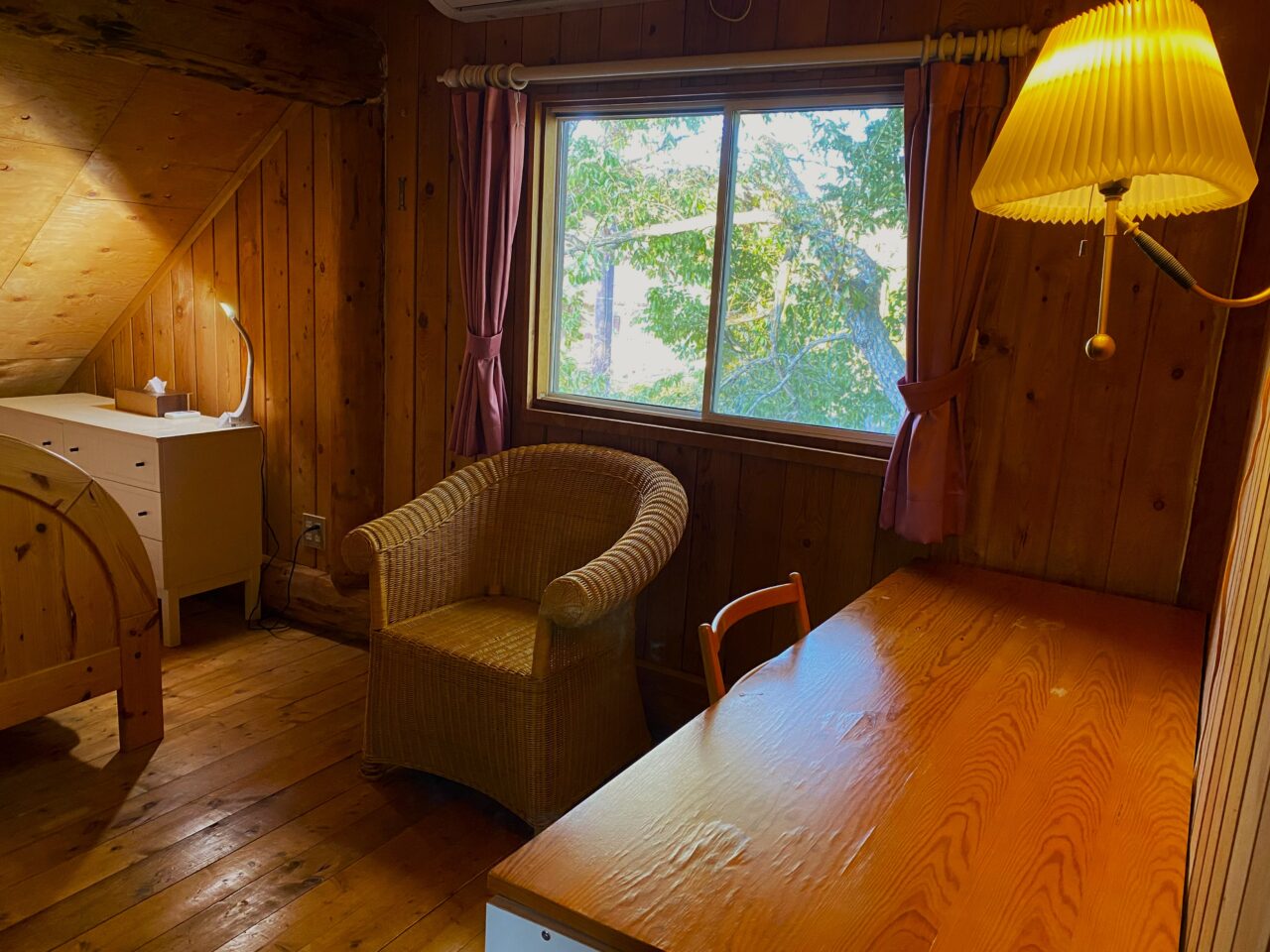 バックヤードフォックス