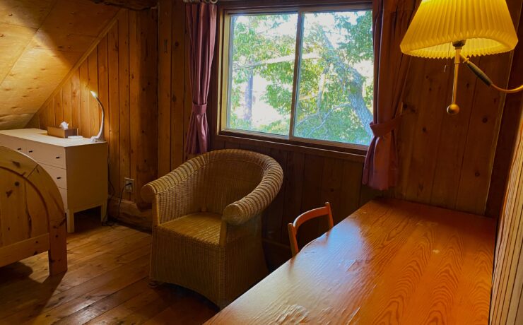 バックヤードフォックス