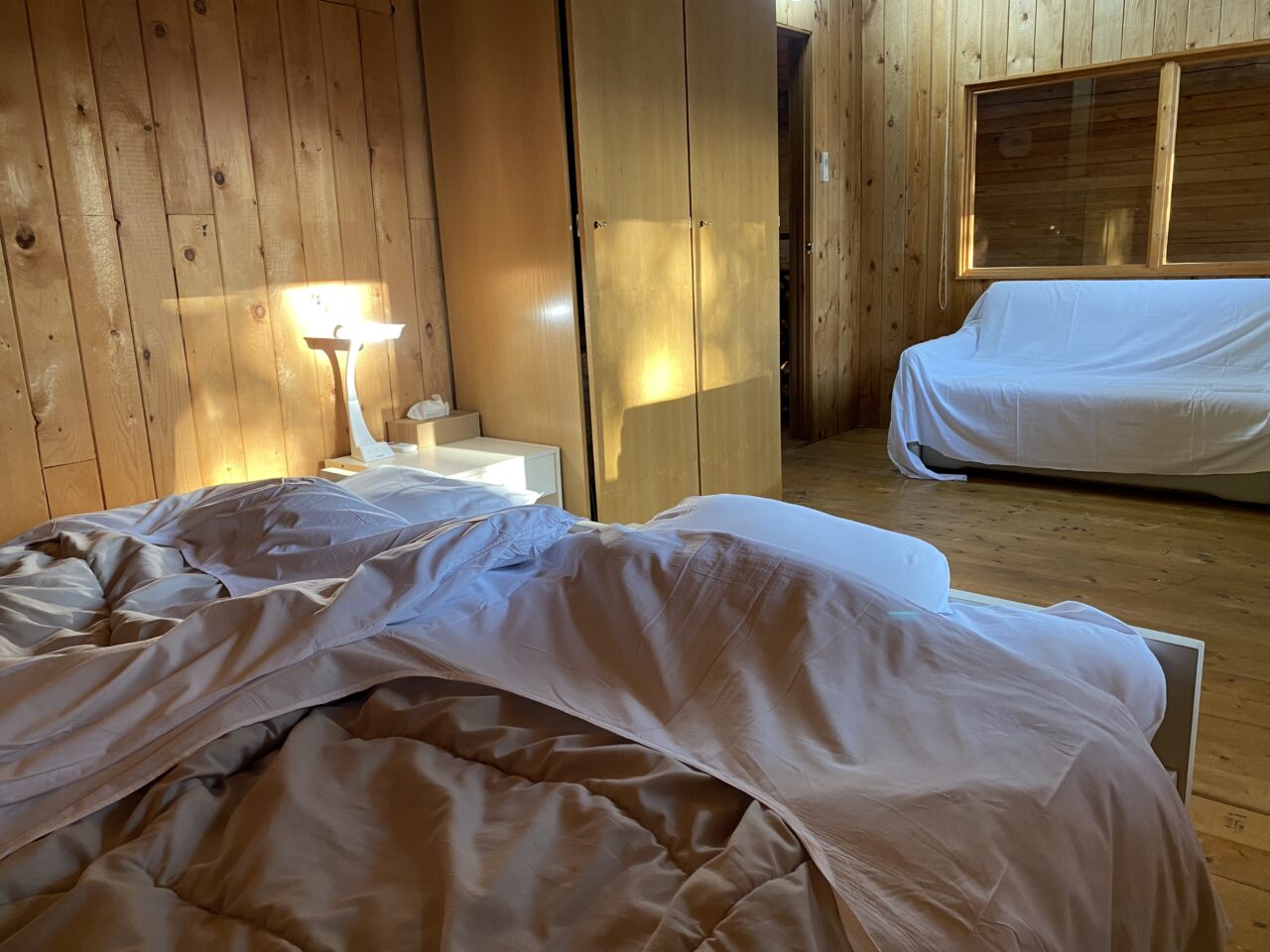 バックヤードフォックス