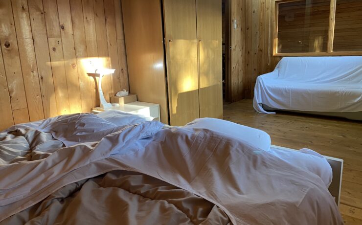 バックヤードフォックス