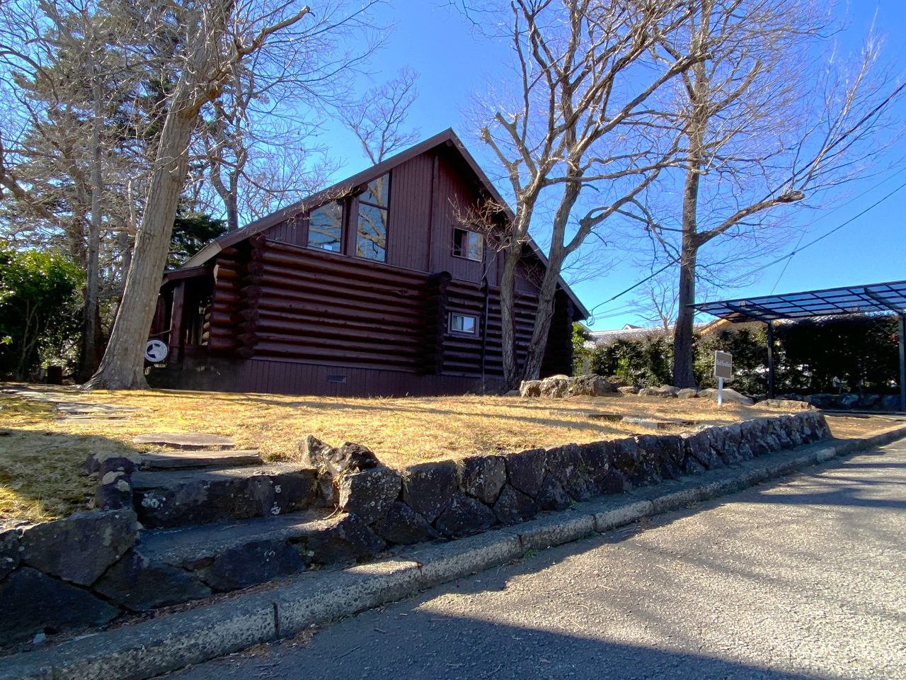 バックヤードフォックス