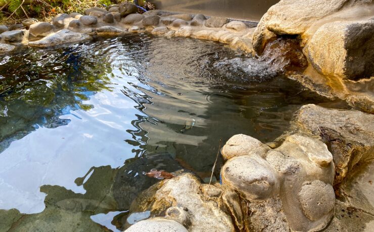 サンライズガーデン