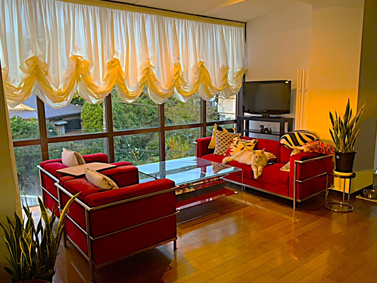 クラブ・ローザランス　2025年12月オープン！