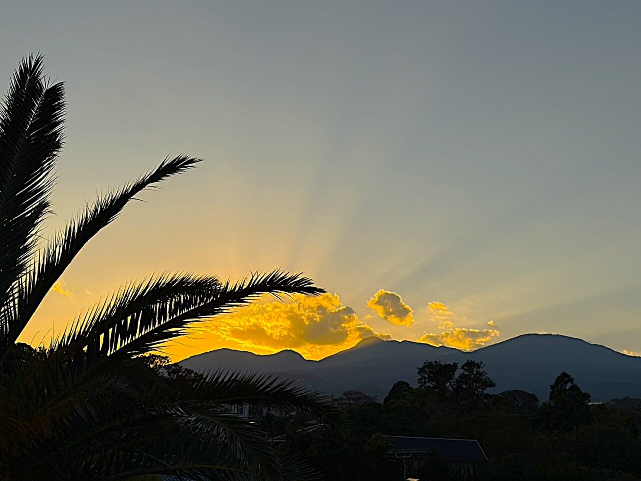 クラブ・ローザランス　2025年12月オープン！