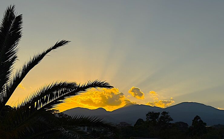 クラブ・ローザランス　2025年12月オープン！