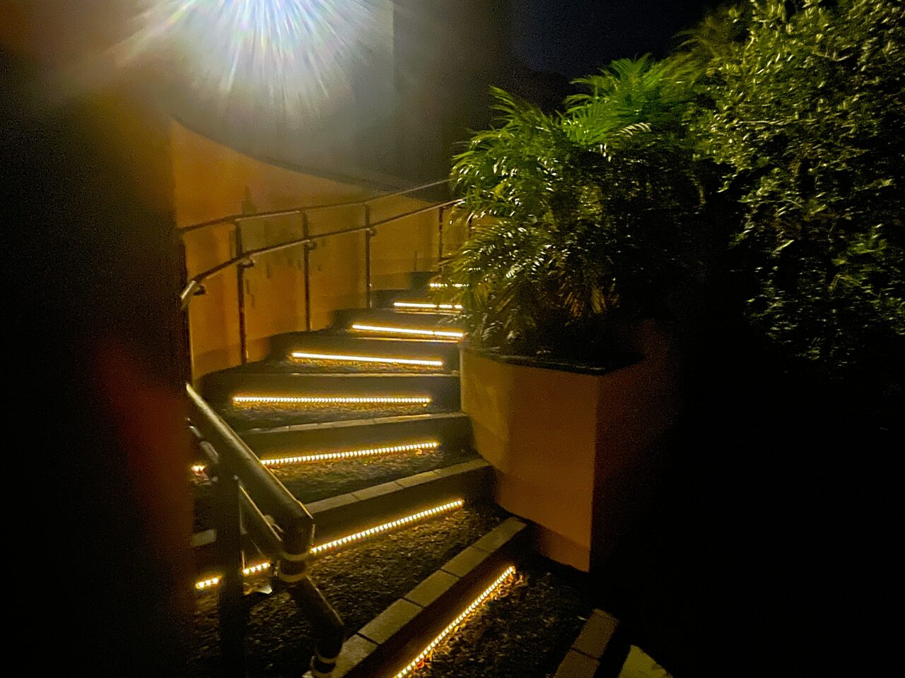 ポッケまほろ伊豆